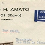 Amato, David