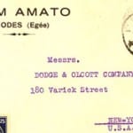 Amato, Haim